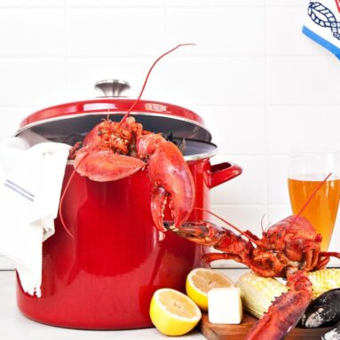 The 7 Best 12-Quart Stock Pots